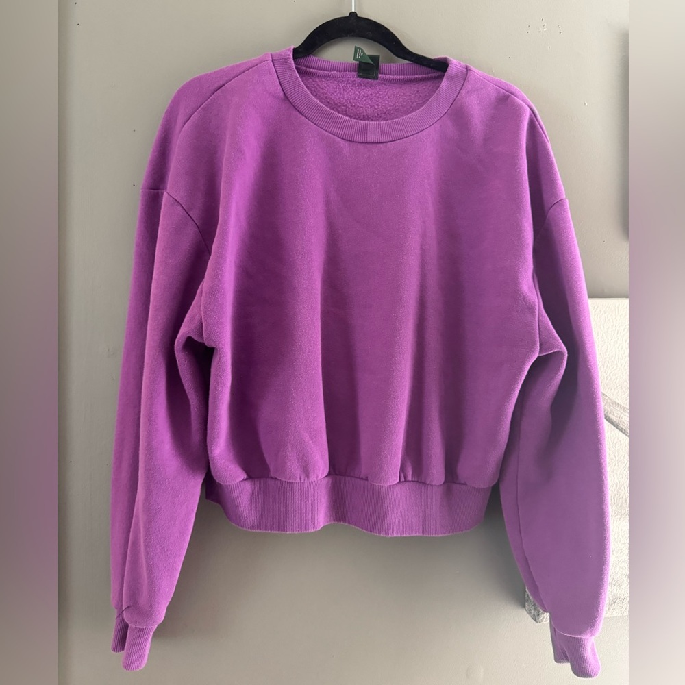 Wild Fable Purple Sweater